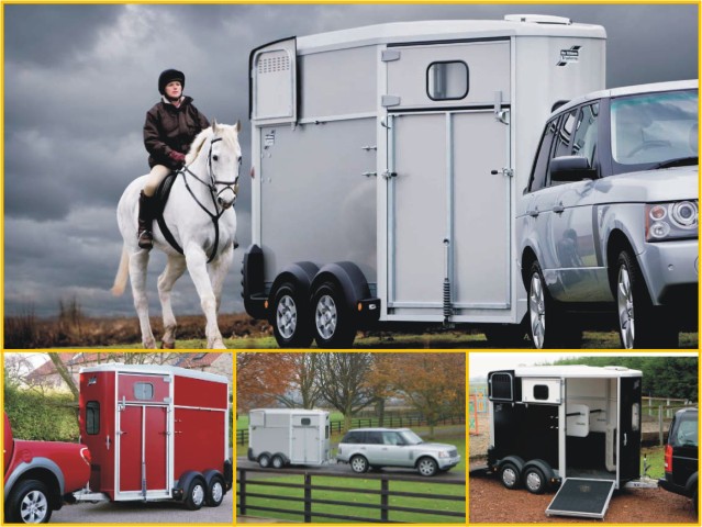 Pferdeanhänger Ifor | 2600kg zGG | Schwarz – Bild 2